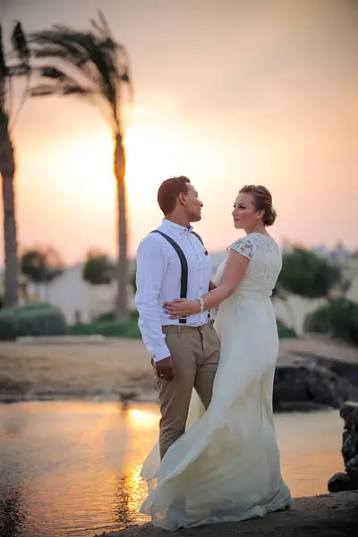 Svatební fotograf Ahmed Naguib - Fotografie č. 7
