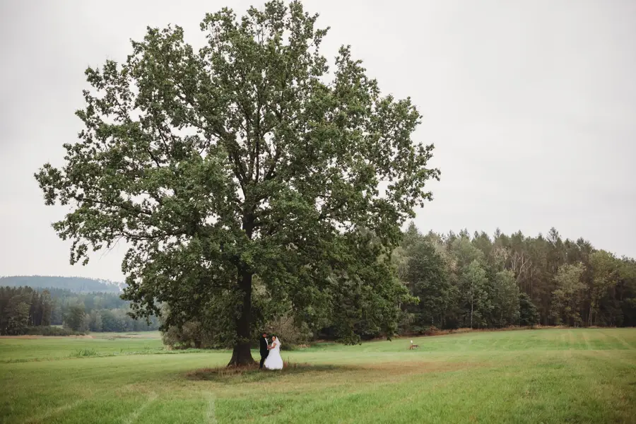 Svatební fotograf - Fotografie č. 9