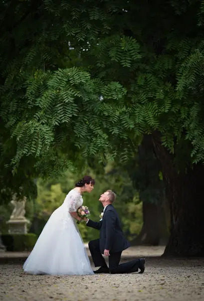 Svatební fotograf - Fotografie č. 2