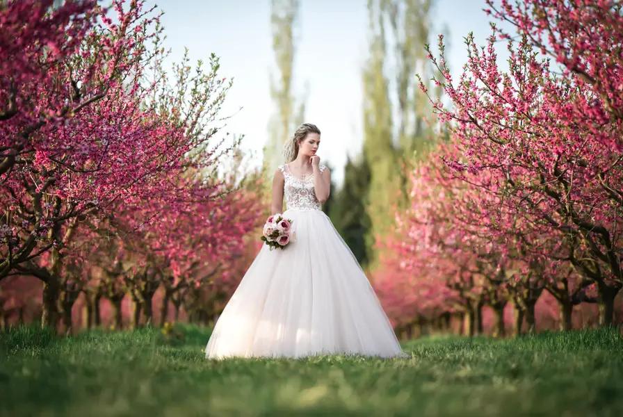 Svatební fotograf - Fotografie č. 21