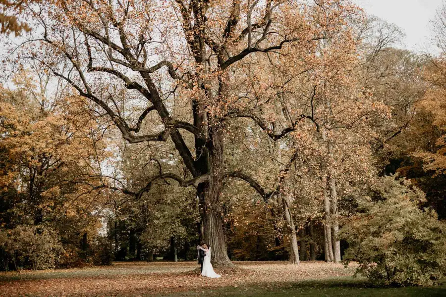 Svatební fotograf - Fotografie č. 2