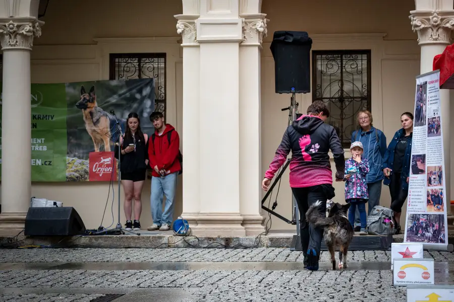 Focení eventů a akcí - Fotografie č. 11