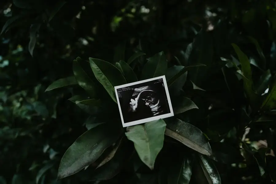 Těhotenské focení Monika Chaňo - Fotografie č. 3