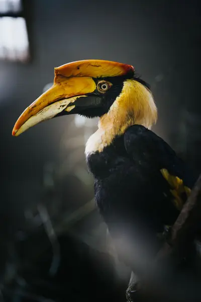 Focení zvířat - Fotografie č. 6