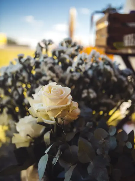 Produktový fotograf - Fotografie č. 14
