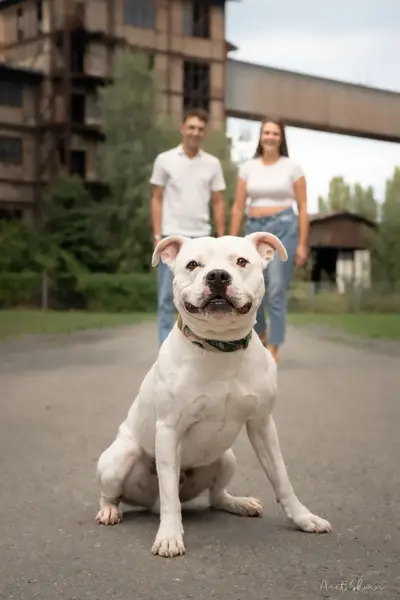 Párové focení Aneta Škorňová - Fotografie č. 6