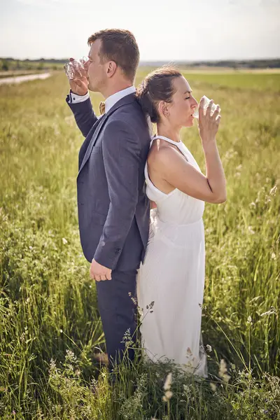 Svatební fotograf - Fotografie č. 12