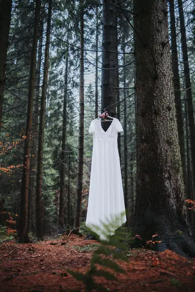 Svatební fotograf Tomáš Křivánek - Fotografie č. 7