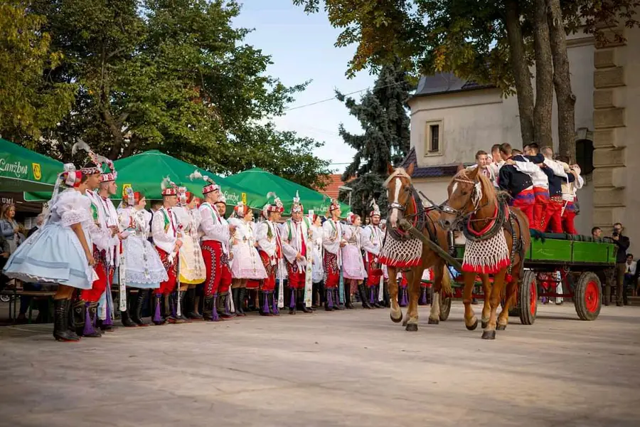 Focení eventů a akcí - Fotografie č. 18