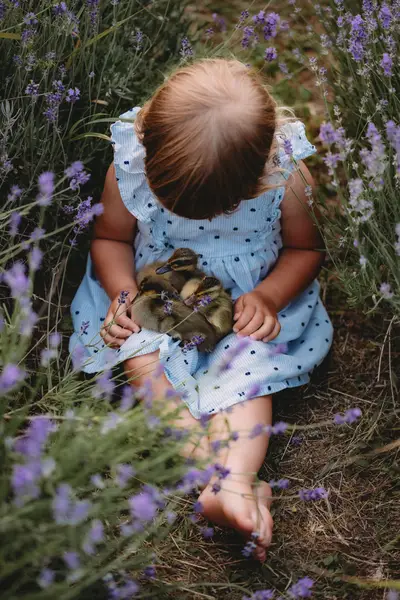 Rodinné focení - Fotografie č. 16