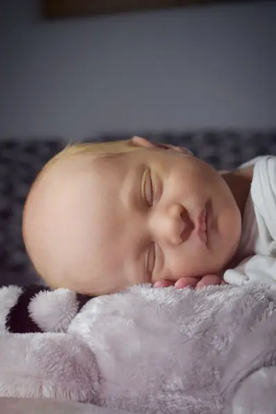Newborn focení - Fotografie č. 6