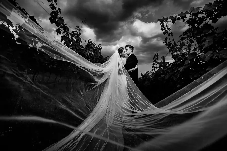 Svatební fotograf Jindřich Nejedlý - Fotografie č. 8