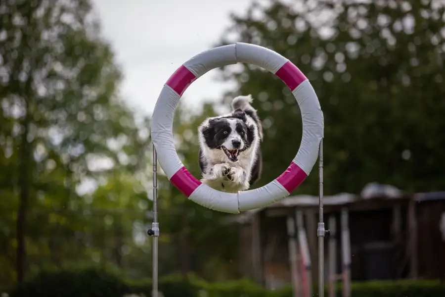 Sportovní fotograf - Fotografie č. 6