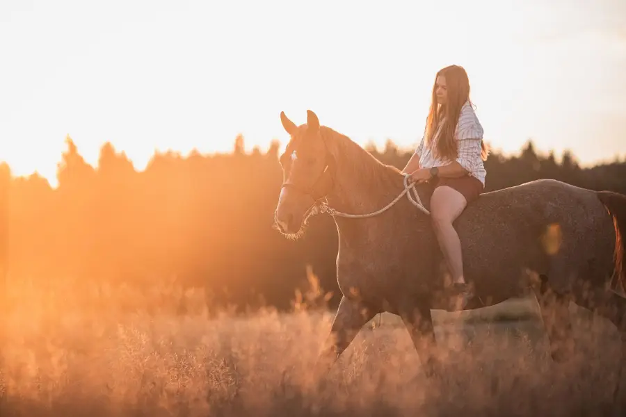 Focení zvířat - Fotografie č. 4