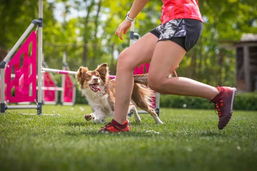 Sportovní fotograf - Fotografie č. 3