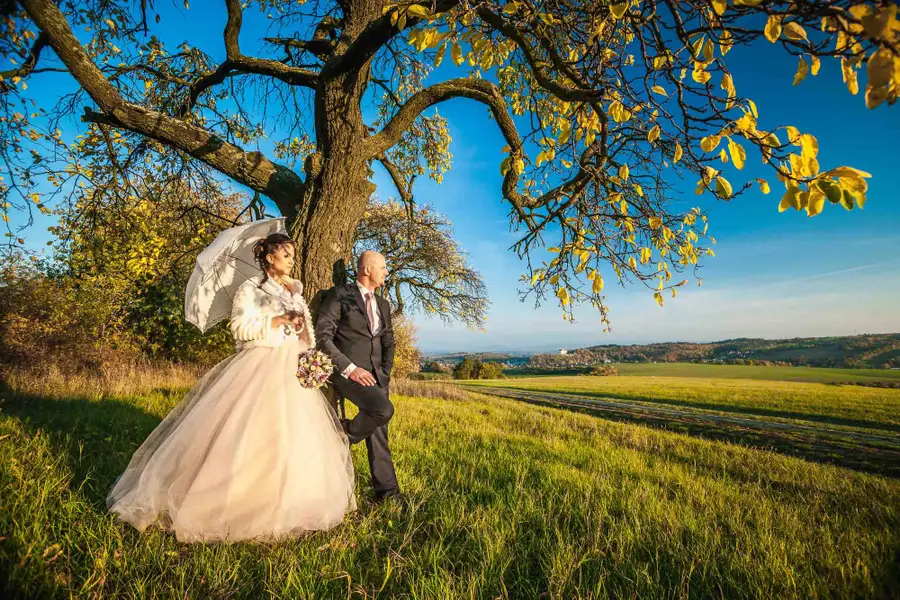 Svatební fotograf David Rýpal - Fotografie č. 4