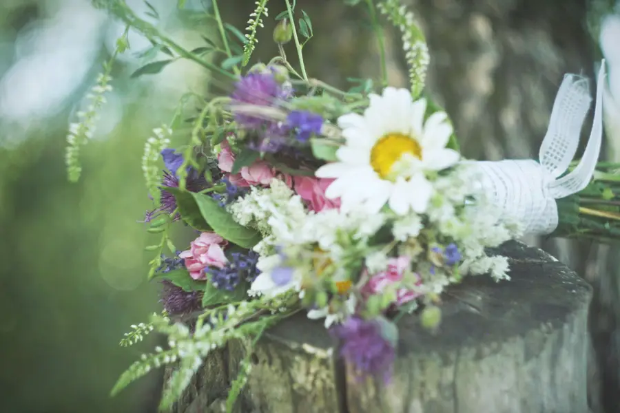 Svatební fotograf Tereza Pomschárová - Fotografie č. 7