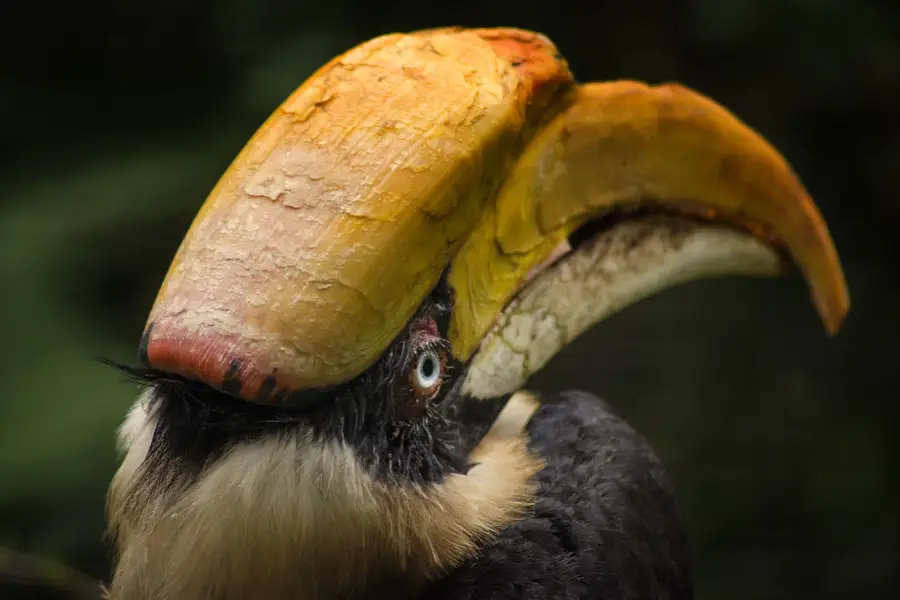 Focení zvířat - Fotografie č. 8