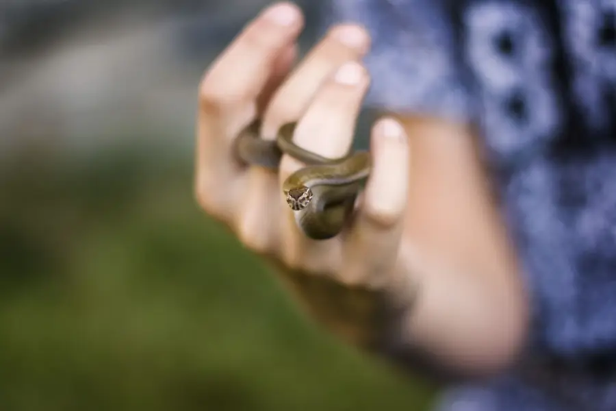 Focení zvířat - Fotografie č. 2