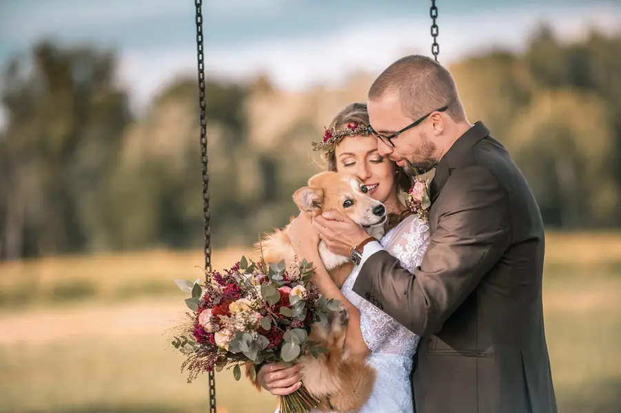 Svatební fotograf - Fotografie č. 18