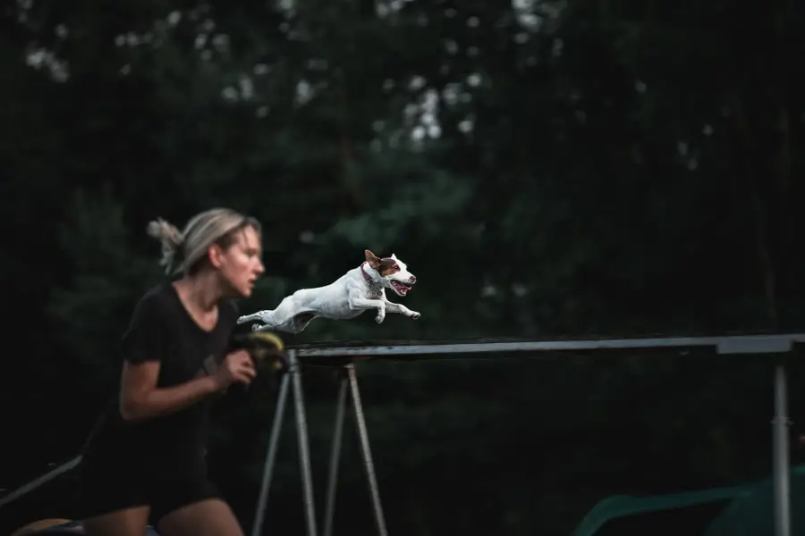 Sportovní fotograf - Fotografie č. 10