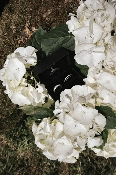 Svatební fotograf Natálie Vačevová - Fotografie č. 2