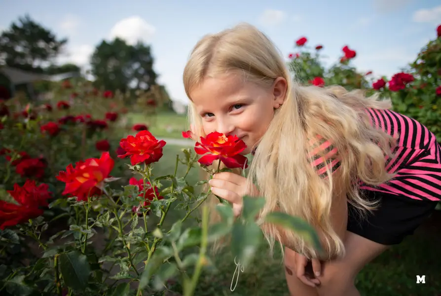 Rodinné focení Michal Gregor - Fotografie č. 5
