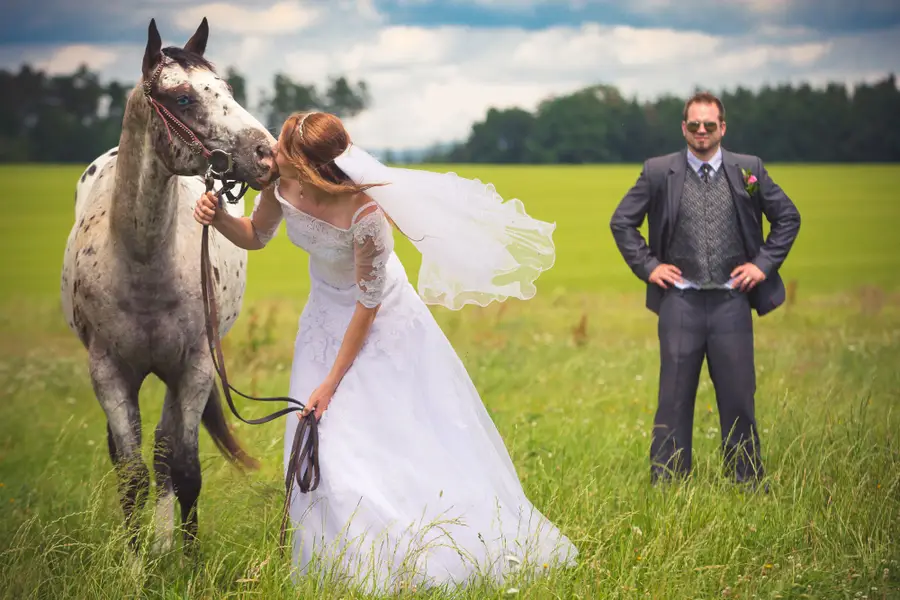 Svatební fotograf Petr Šedivý - Fotografie č. 7