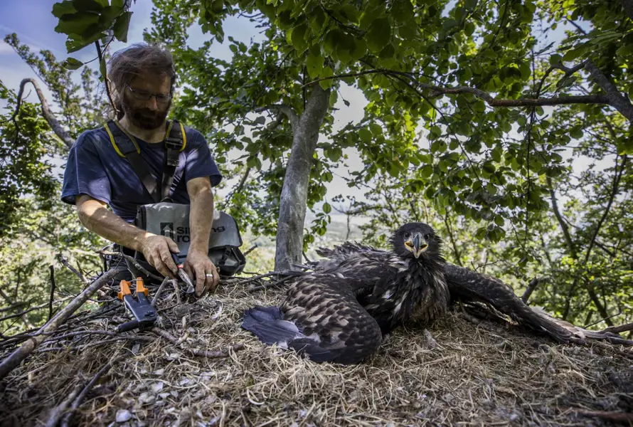 Focení eventů a akcí - Fotografie č. 10