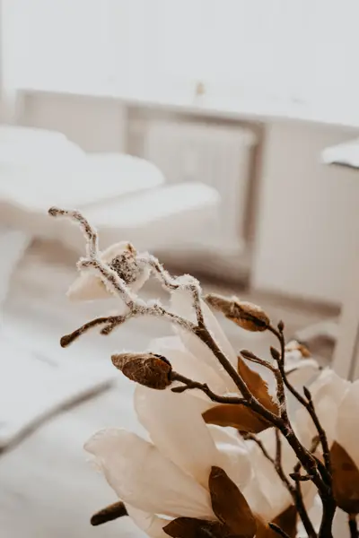 Produktový fotograf Petra Přívarová - Fotografie č. 8