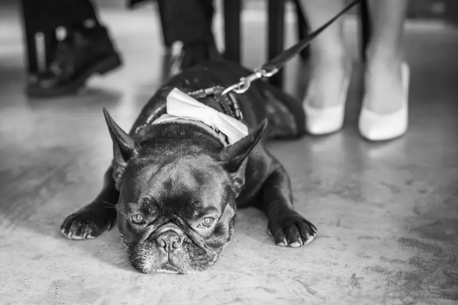 Svatební fotograf Jakub Horák - Fotografie č. 7