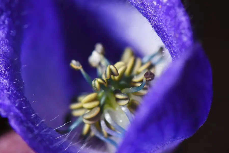 Produktový fotograf David Cekota - Fotografie č. 6