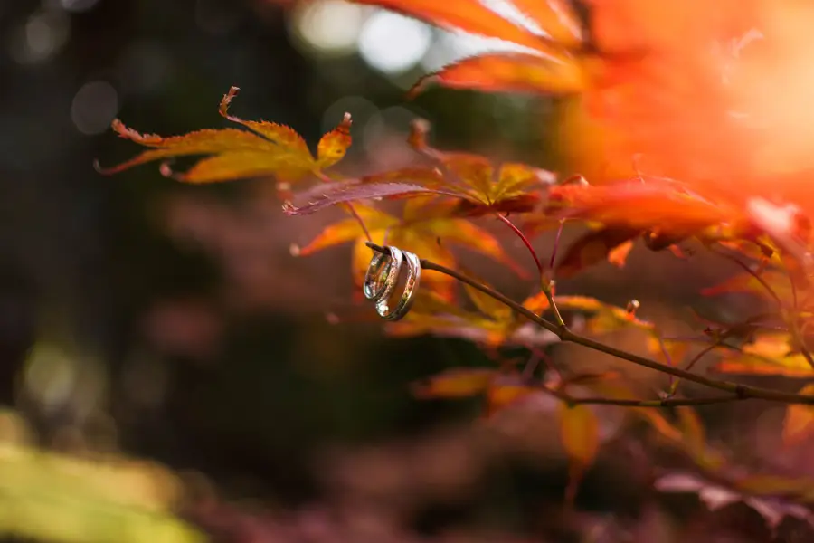 Svatební fotograf Adéla Karasová - Fotografie č. 6