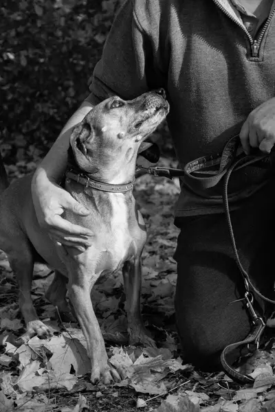 Focení zvířat - Fotografie č. 9