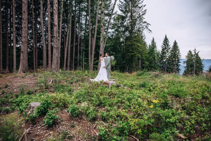Svatební fotograf Radek Janásek - Fotografie č. 5