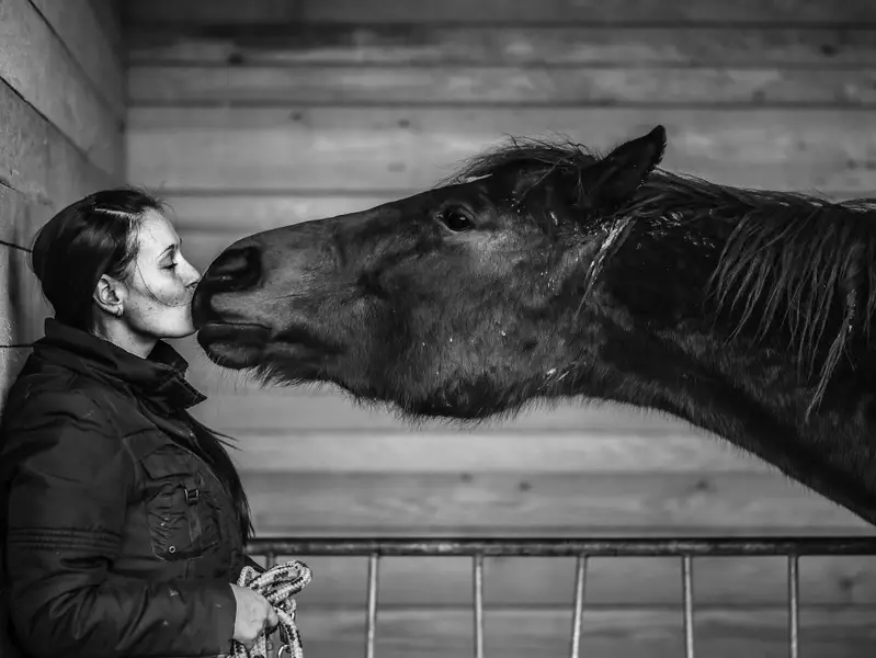 Focení zvířat - Fotografie č. 1