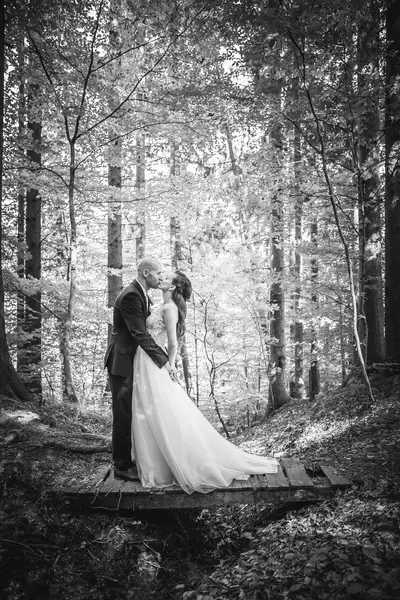 Svatební fotograf Josef Mandinec - Fotografie č. 7