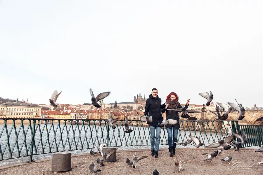 Svatební fotograf Alena Gurenchuk - Fotografie č. 3