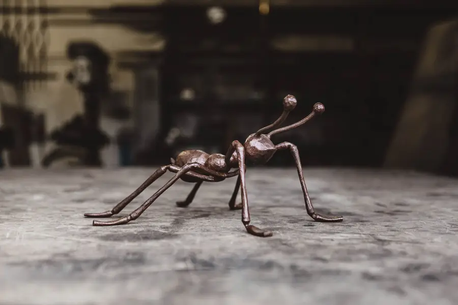 Produktový fotograf Sára Ondrášová - Fotografie č. 6