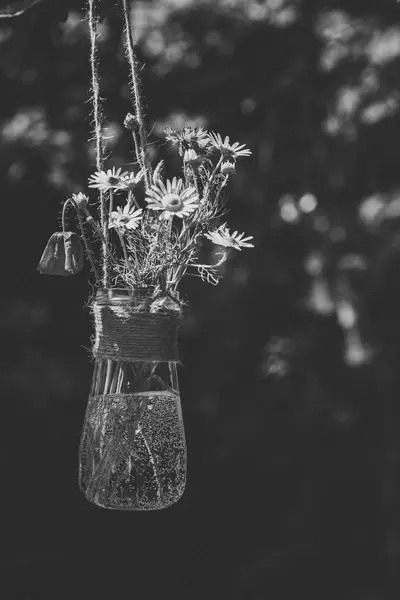 Svatební fotograf Šárka Svobodová - Fotografie č. 10