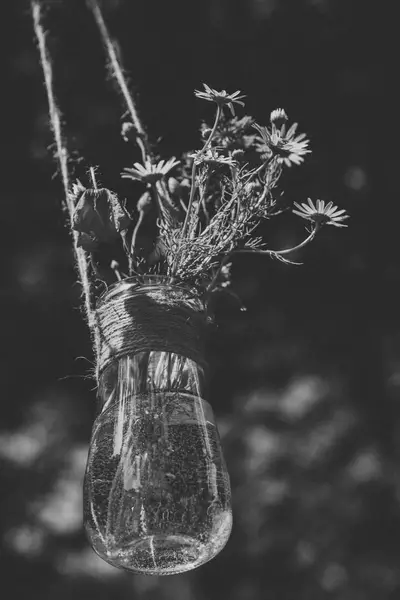 Svatební fotograf - Fotografie č. 11