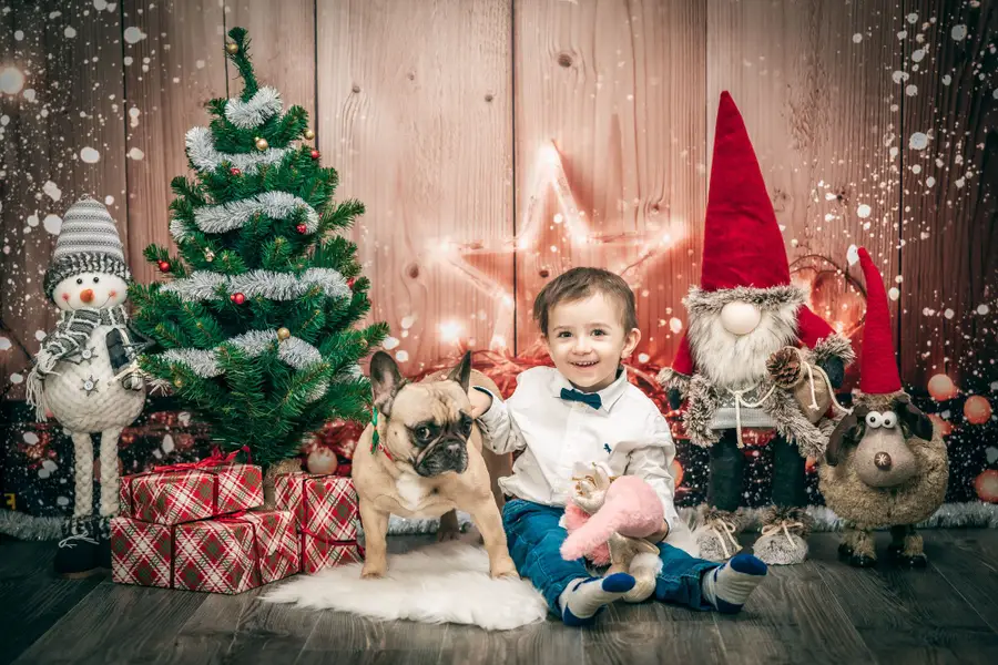 Vánoční focení Tomáš Luka - Fotografie č. 5