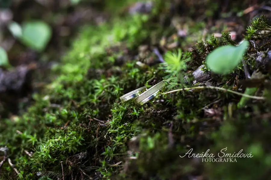 Svatební fotograf Anežka Šmídová - Fotografie č. 9