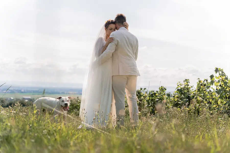 Svatební fotograf Denis Králíček - Fotografie č. 4