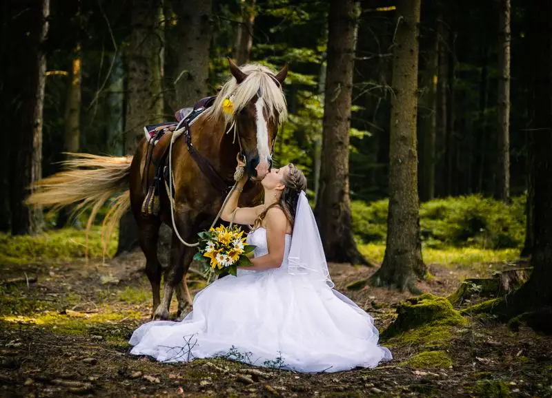 Svatební fotograf - Fotografie č. 6