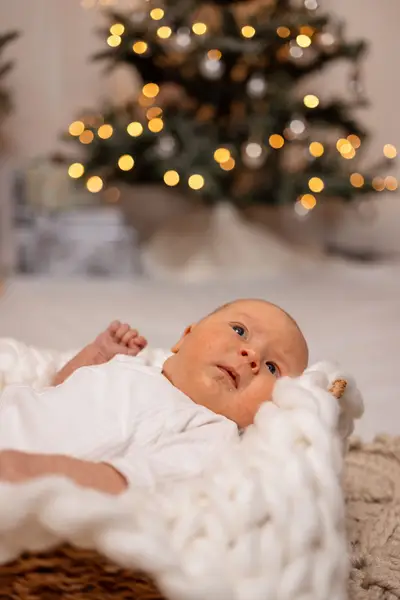 Newborn focení - Fotografie č. 4