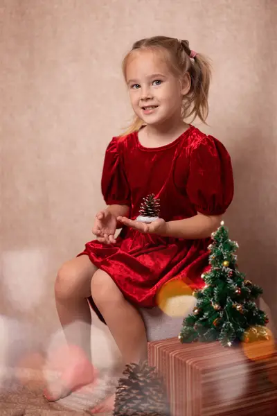 Vánoční focení - Fotografie č. 20