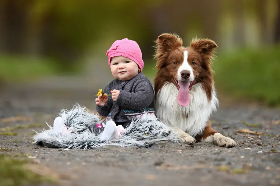 Focení zvířat - Fotografie č. 3