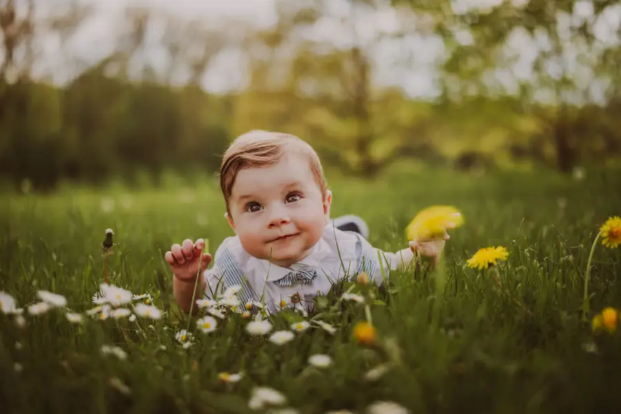 Rodinné focení Adéla Nedorostková - Fotografie č. 3