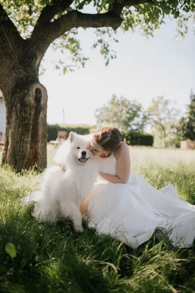 Focení zvířat - Fotografie č. 10